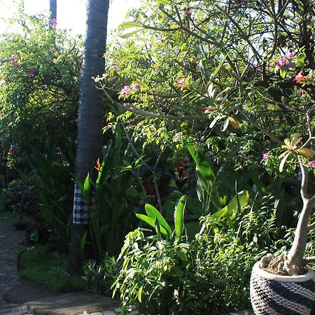 Cleopatra Beach Bungalows Lovina (Bali) Bagian luar foto