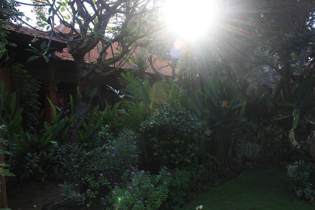 Cleopatra Beach Bungalows Lovina (Bali) Bagian luar foto